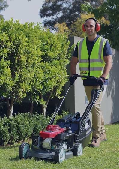 Regent Lawn Mowers